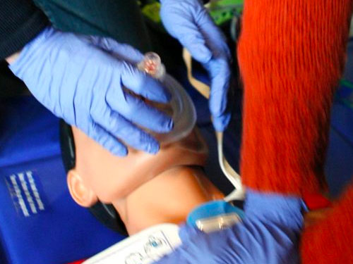 CPR Academy
